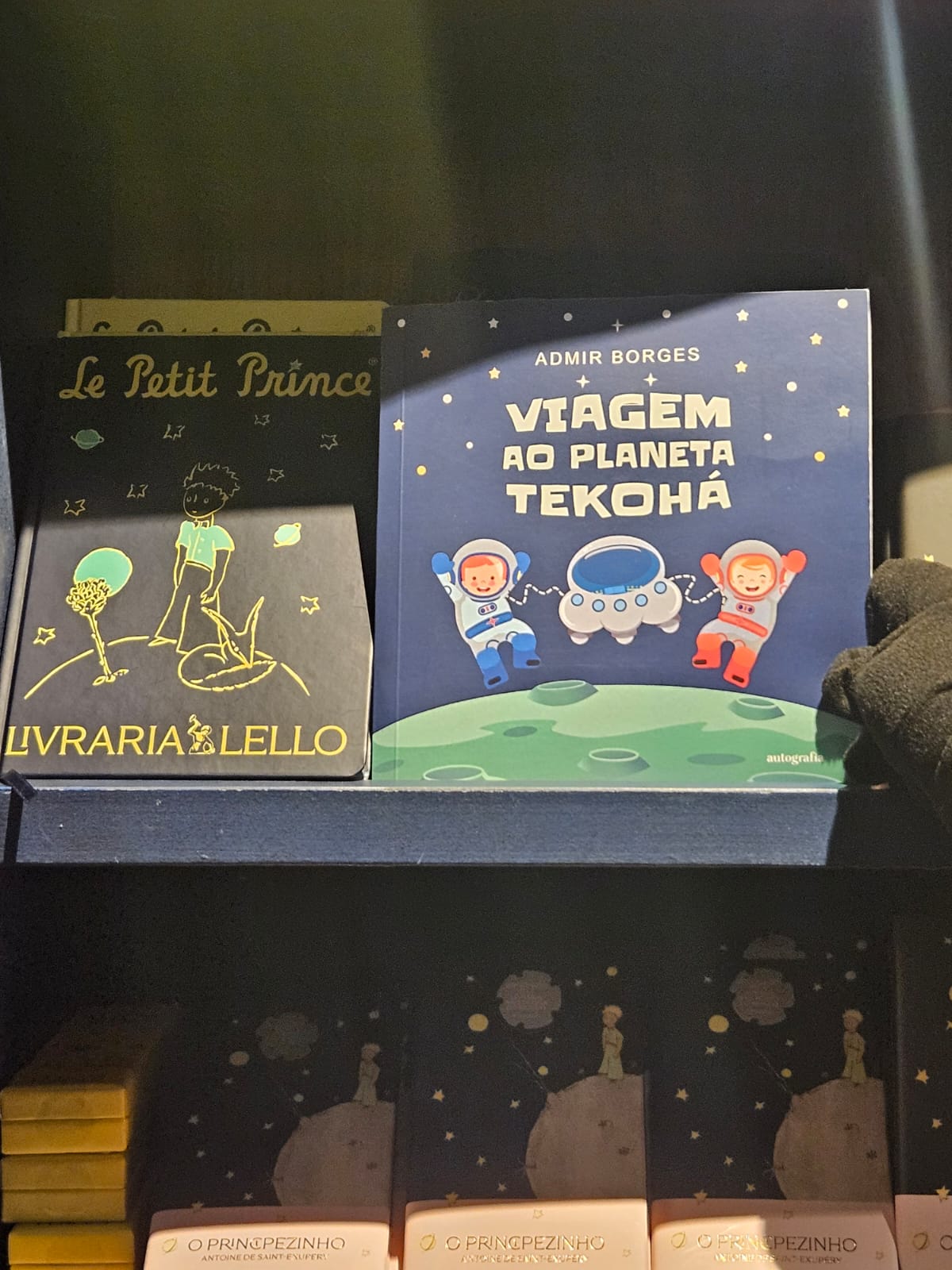 Professor da Fumec expõe obra na Livraria Lello, em Porto
